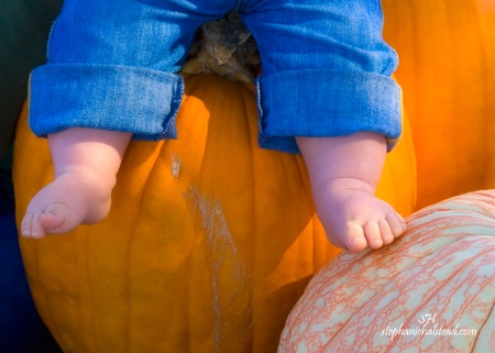 First Time at the Pumpkin Patch