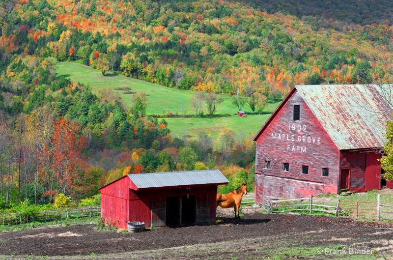 Vermont Farm Scene