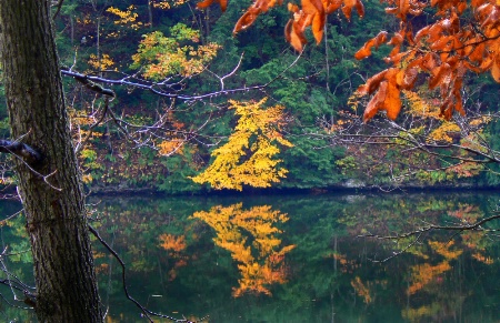 Rainy Fall Day at the lake