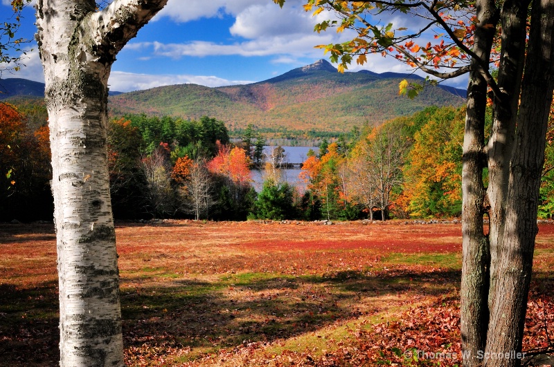 Scenic Landscape ~ Mt Chocorua