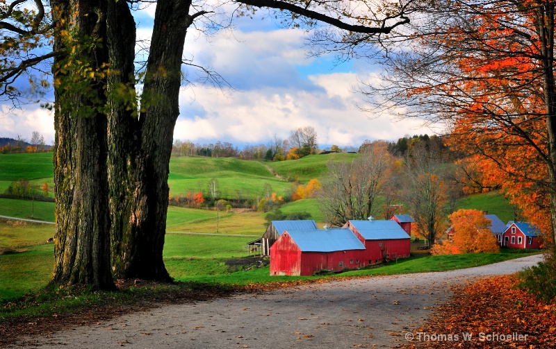 Jenne Road ~ Autumn landscape