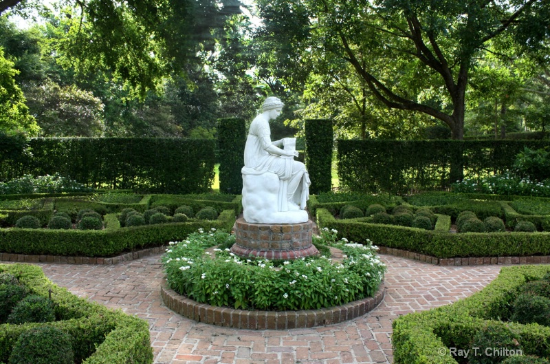 Traditional Garden Scene