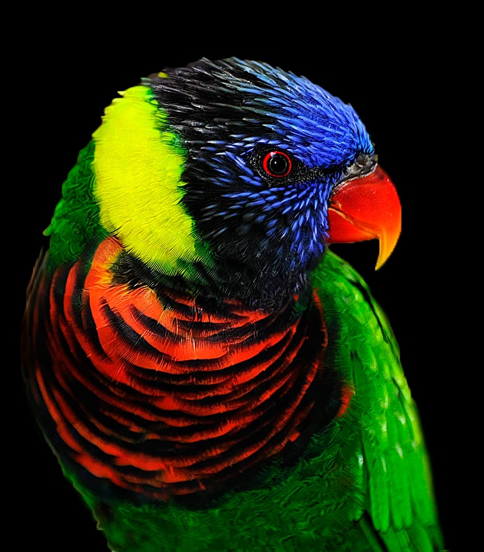 img7