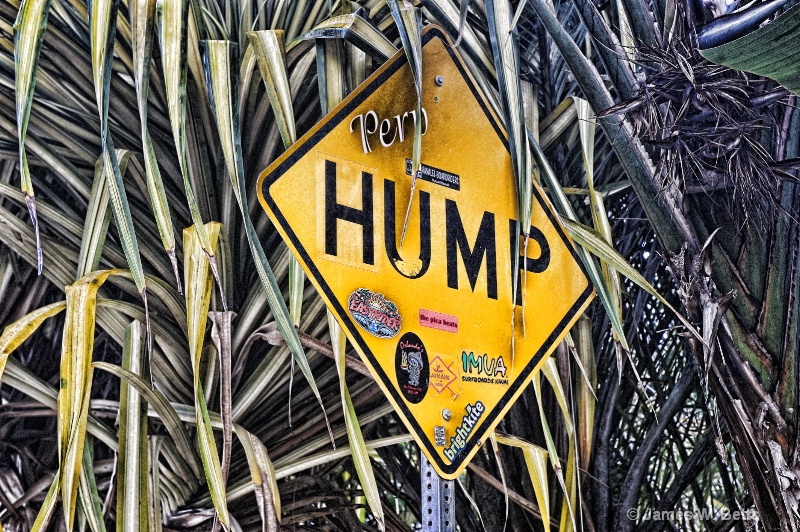 Happy Hump Day - ID: 12418311 © James W. Betts
