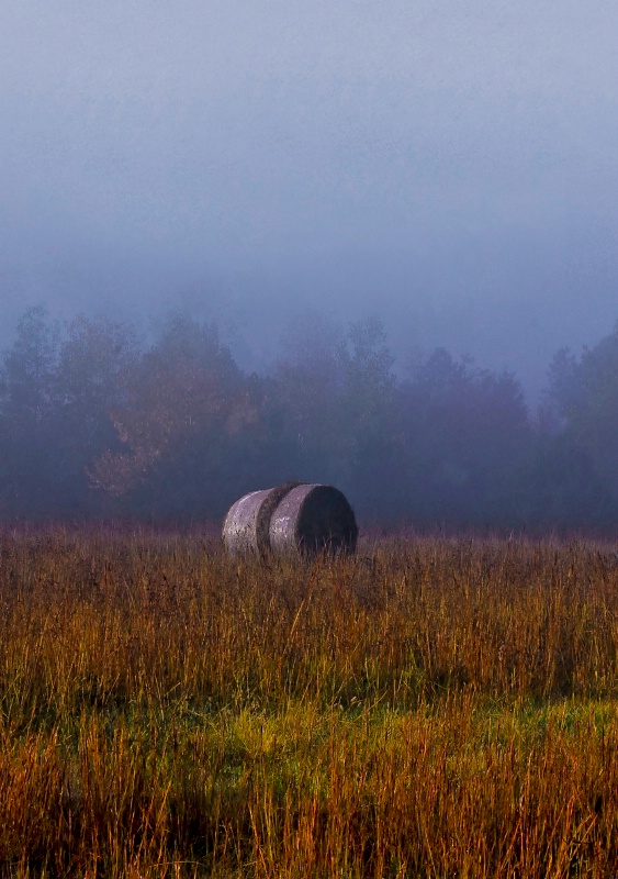 Fog and Hay Bale - 2011