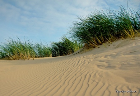 Big Dunes