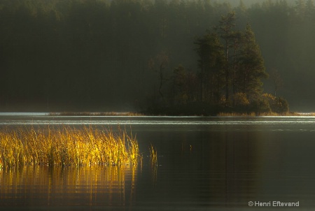 Lake 1b tele