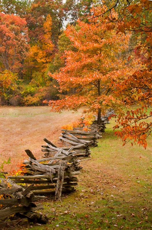 Fall Beauty