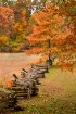 Fall Beauty