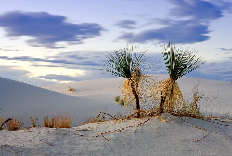 White Sands NM