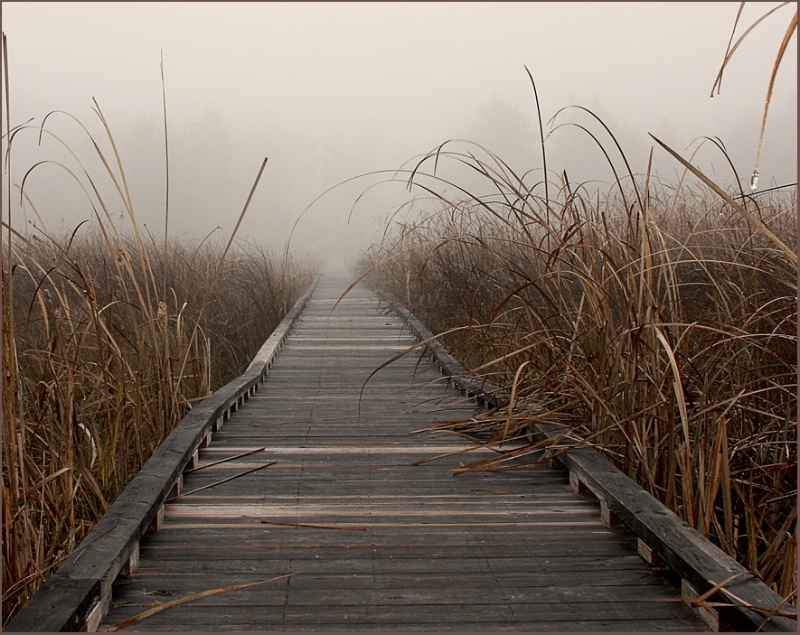 Walking in a Fog