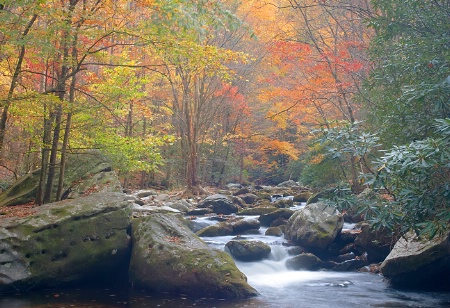 Smoky Mountain Stream (Tremont) 3b