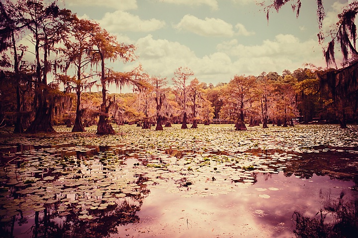 Caddo Lake in Fall
