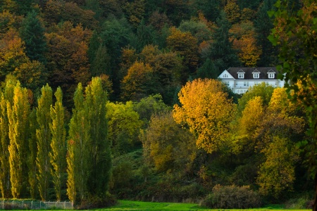 Ratherford Mansion in late fall