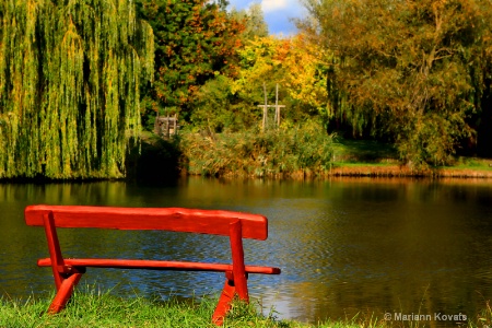 The Lonely Red Bench