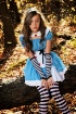 Taylor in Wonderl...