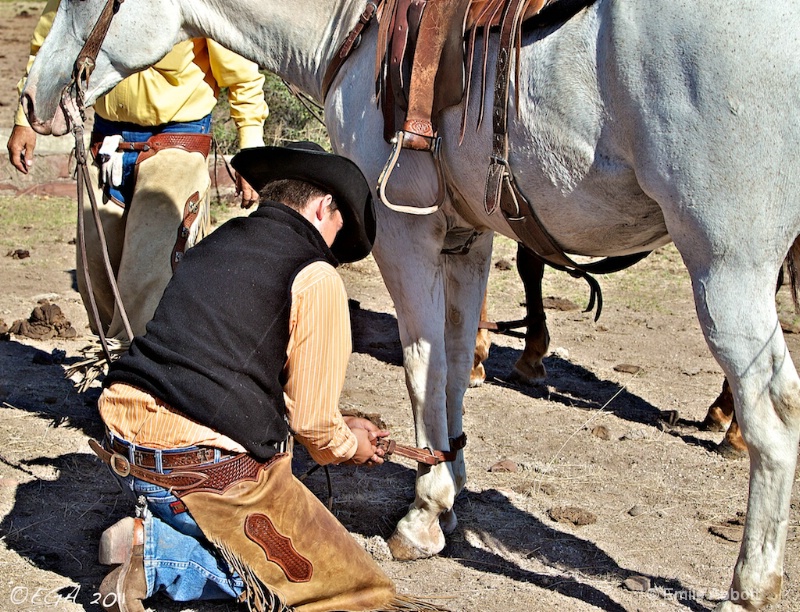 Hobbling the horse - ID: 12430091 © Emile Abbott