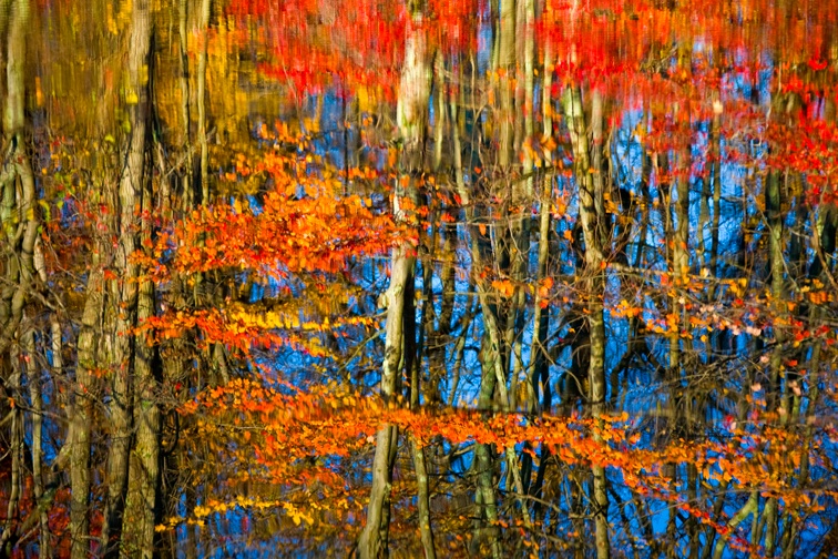 Watergap Reflection - ID: 12432188 © Stacey J. Meanwell