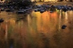 Abstract Water Re...