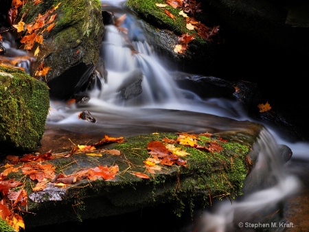 Mountain Stream