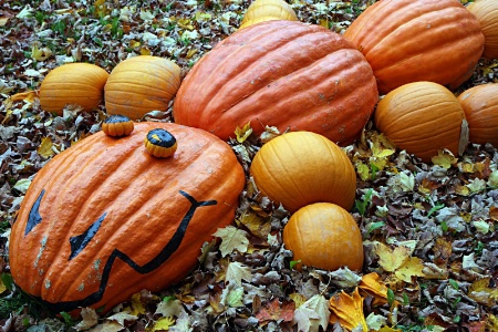 Beware of Pumpkin Creatures..
