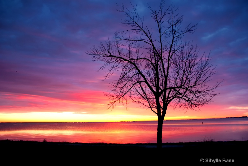 Sunrise on Lake St. Clair - ID: 12437835 © Sibylle Basel