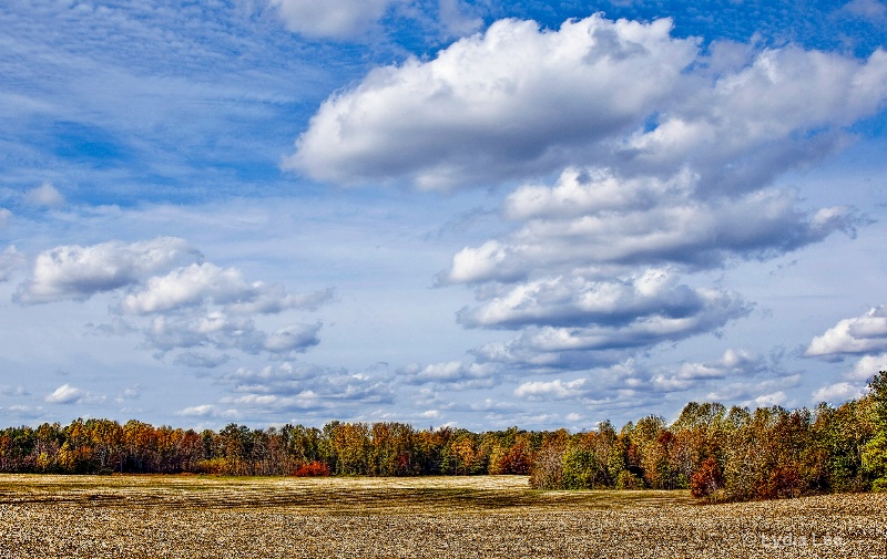Autumn Day in the Country - ID: 12442677 © Lydia Lee