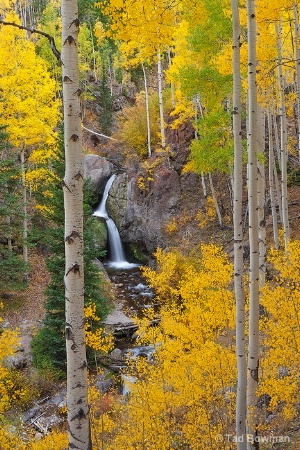 Nellie Creek Waterfalls
