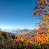2Fall In The Smoky Mountains - ID: 12442938 © Carol Eade