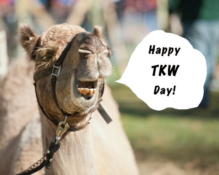 Happy TKW Day!