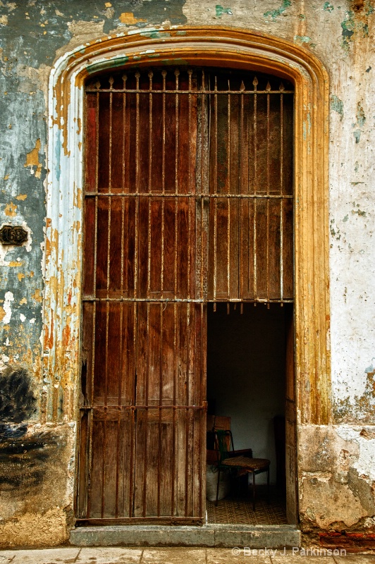 Door Within A Door