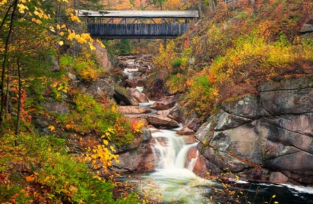 New Hampshire Fall