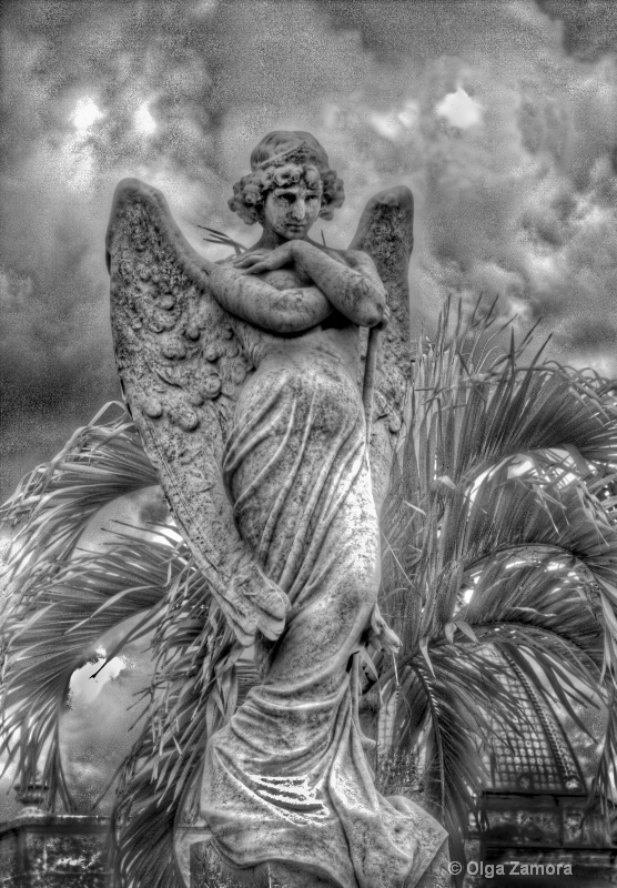 Storm Angel - ID: 12451338 © Olga Zamora