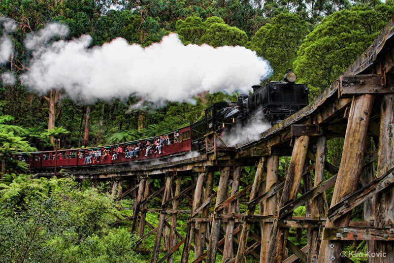 Puffing Billy Train (revised)
