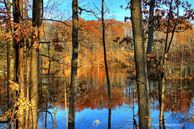 Reflections of Autumn Colors
