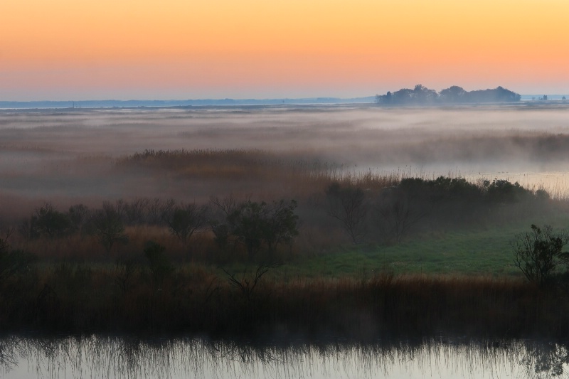 Foggy Marsh at Sunrise