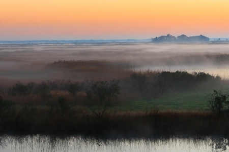 Foggy Marsh at Sunrise