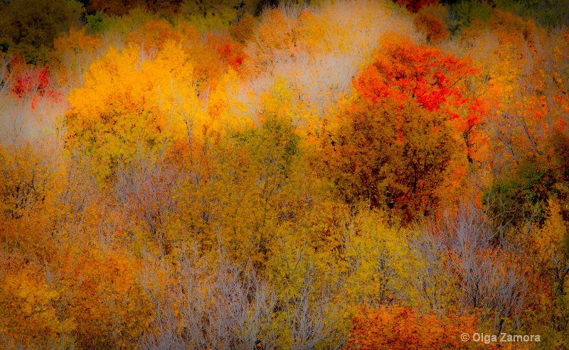 Autumn Dream - ID: 12490372 © Olga Zamora
