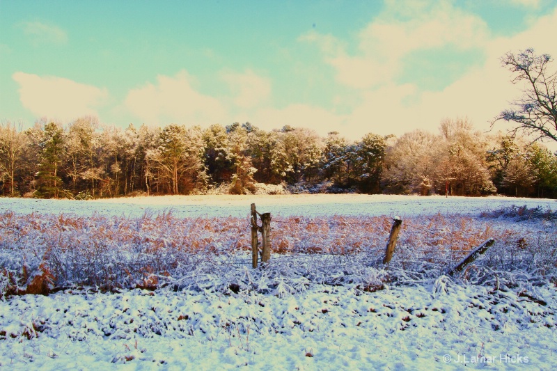 Snowy pasture