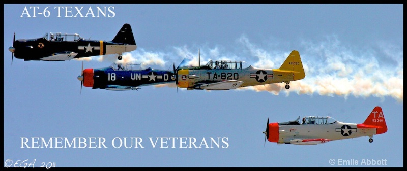 Remember our Veterans - ID: 12491010 © Emile Abbott