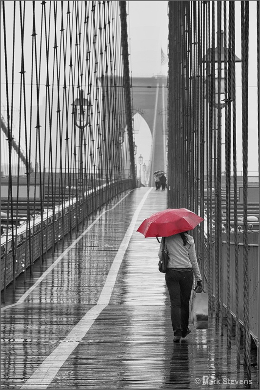 Brooklyn Bridge -   Wet