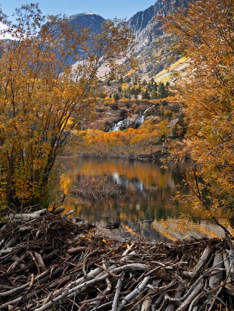 Beaver Lake Reflections