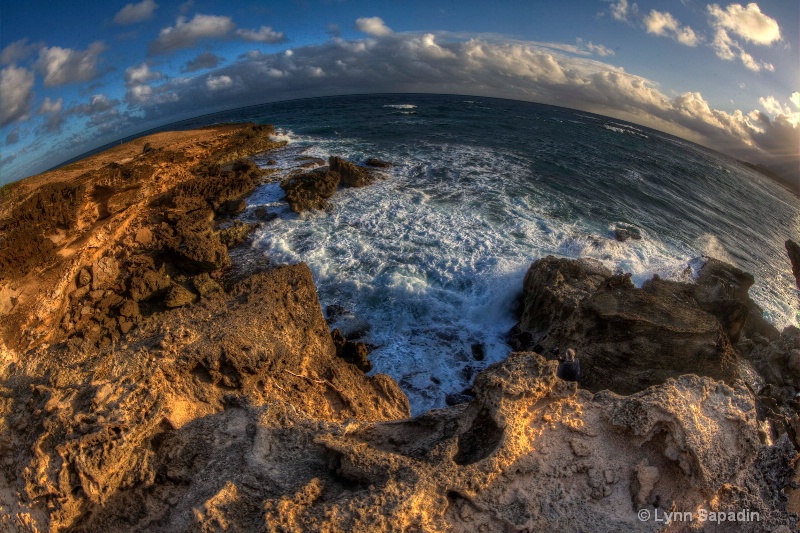 Mo'omami Molokai 2011