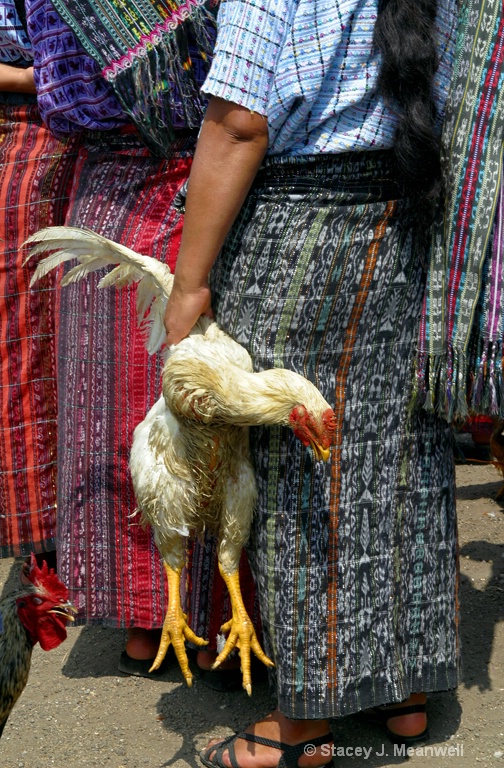 Dinner from the Market - ID: 12501798 © Stacey J. Meanwell