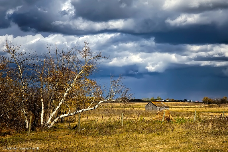 Storm on the Horizon