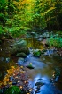 Creek in Blue Hil...