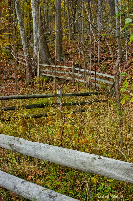 Meandering Fence