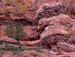 Only the rocks li...