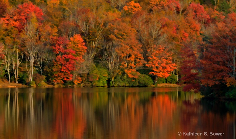 Fall Reflections