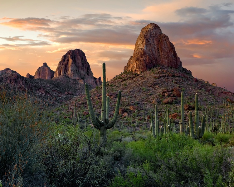 Superstition Mtns.